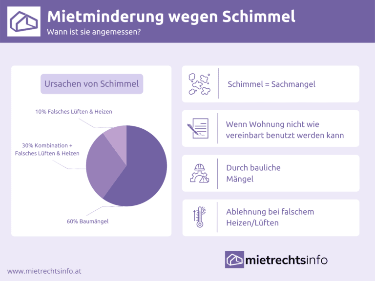 Mietminderung wegen Schimmel Wann ist sie angemessen?